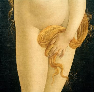 Venus (Hand and Hair) by Sandro Botticelli